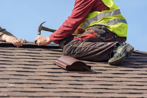 Best Roof Gutter Cleaning  in Echelon, NJ