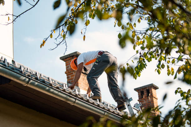 Best Roof Maintenance Services  in Echelon, NJ