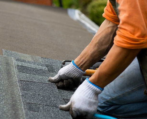 Best Storm Damage Roof Repair  in Echelon, NJ