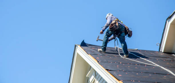 Best Roof Waterproofing Services  in Echelon, NJ